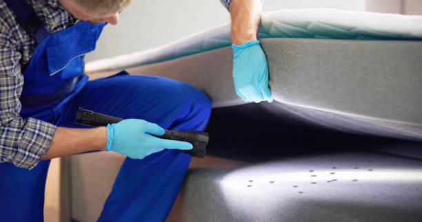 Pest Control for Restaurants in Winfield, WV