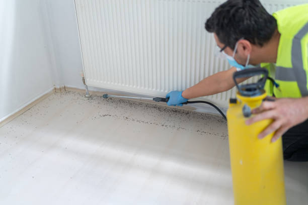 Best Pest Prevention Services  in Winfield, WV